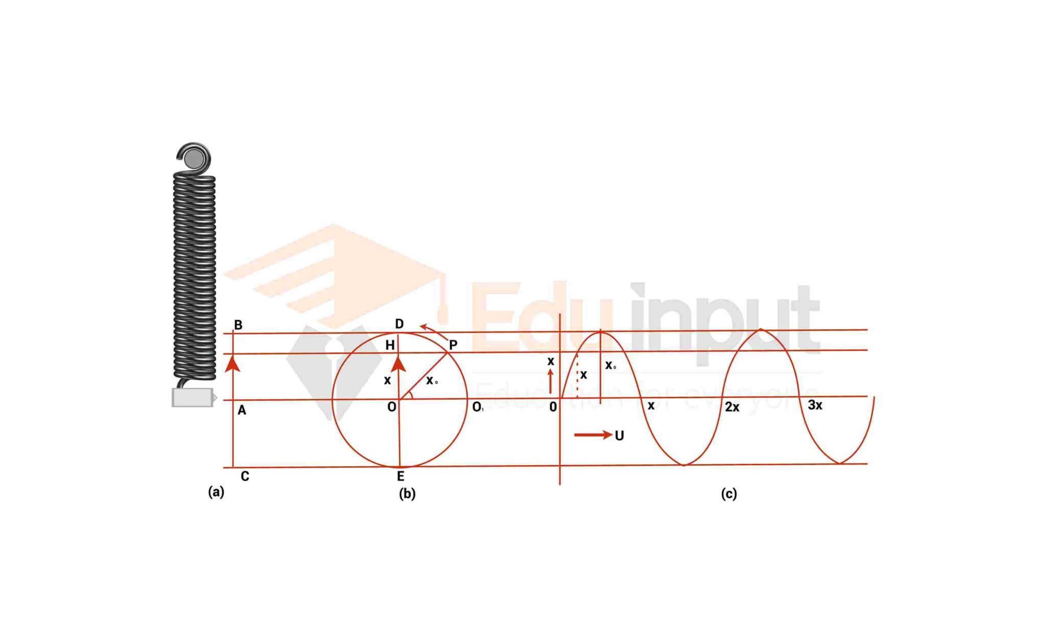 Simple Harmonic Motion And Circular Motion