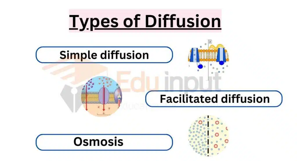 image showing types of diffusion