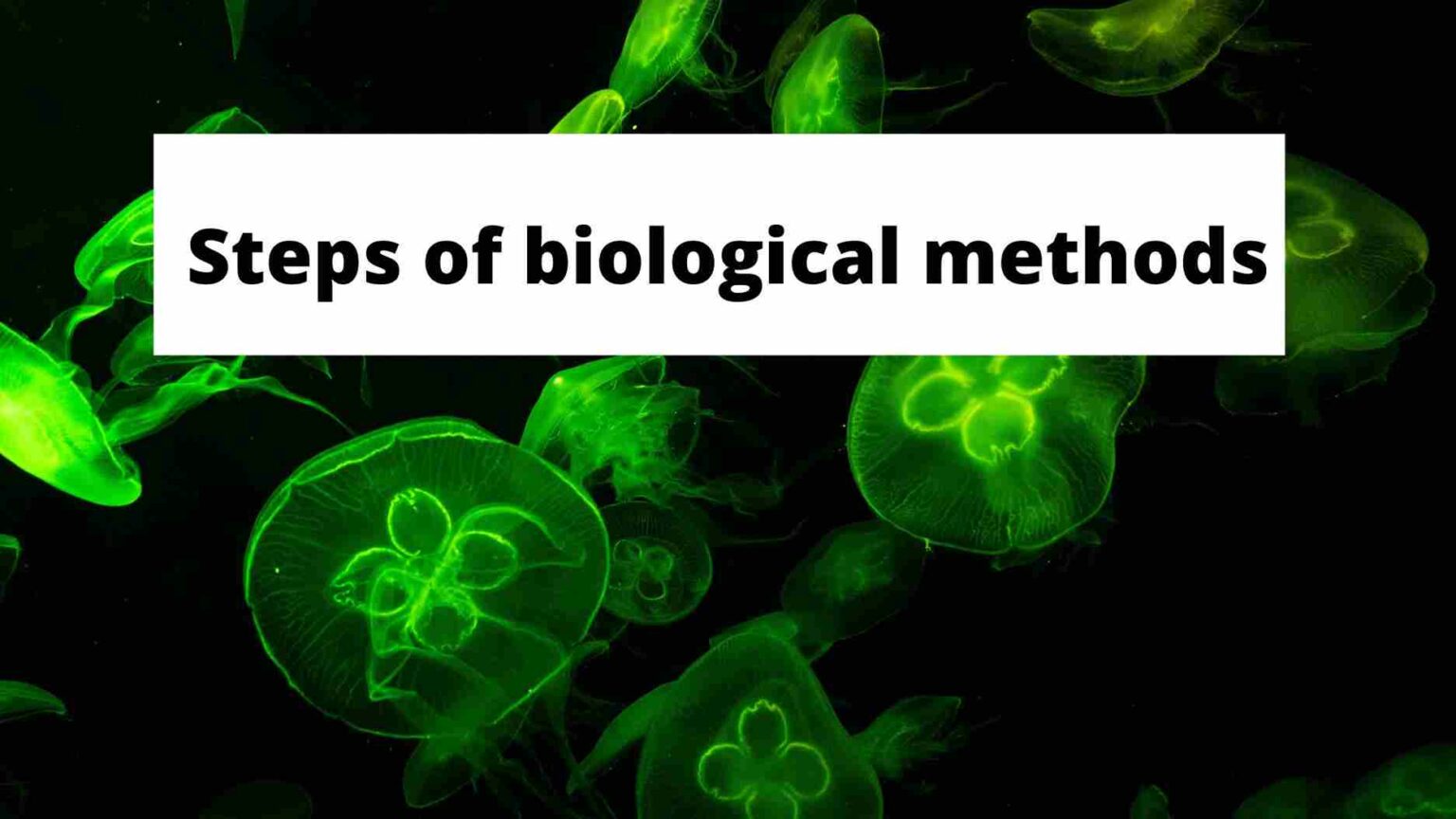 Steps Of Biological Methods