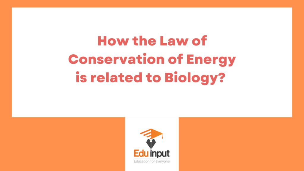 image showing biology relationship with physics law of conservation of energy