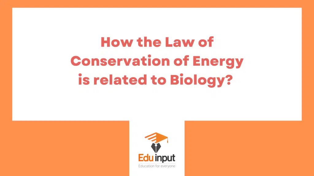 image showing biology relationship with physics law of conservation of energy