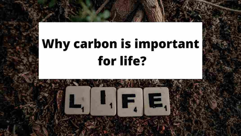 image showing Carbon importance to life