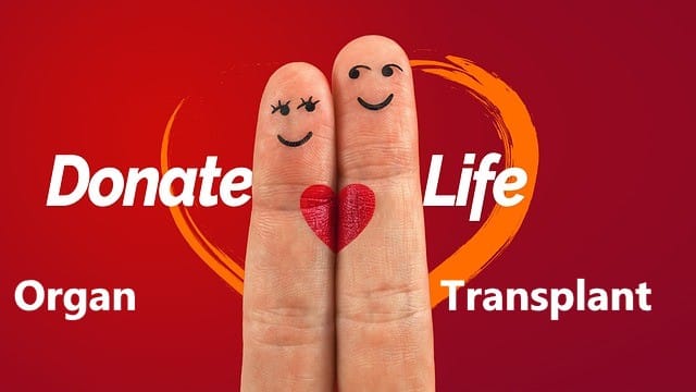 What is organ transplantation? Definition, process, and stages