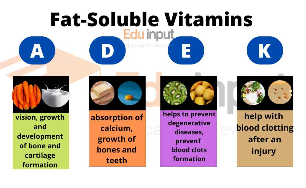 What Are Fat Soluble Vitamins Types Sources And Functions