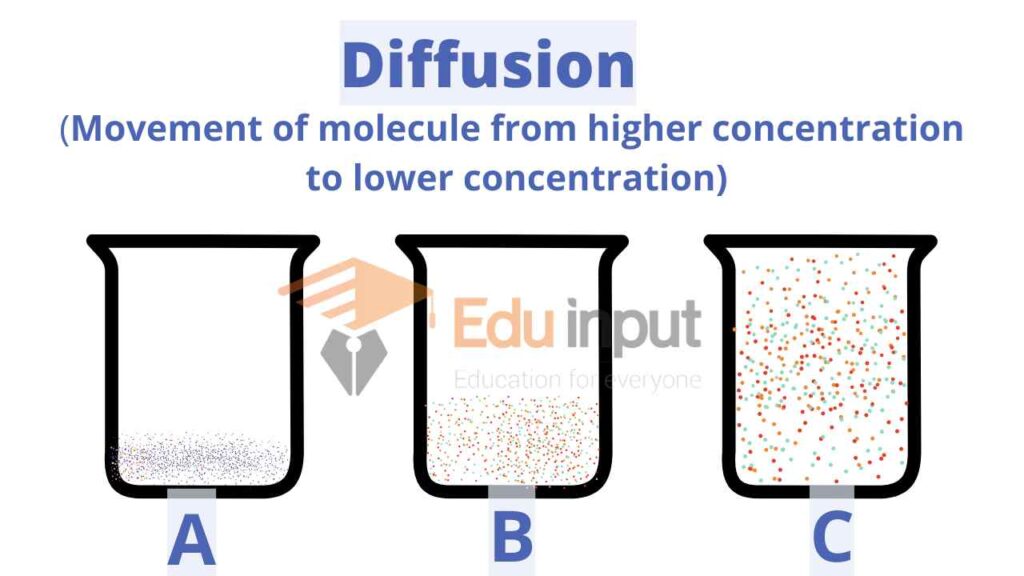 image showing movement by diffusion