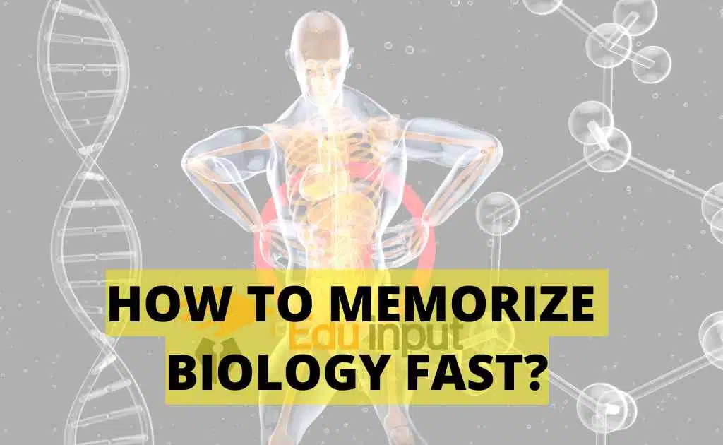 How to Memorize Biology Fast?