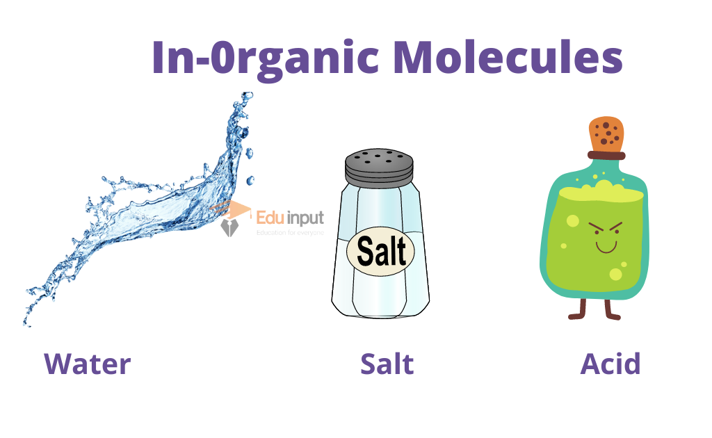 IMAGE OF inOrganic Molecules 1