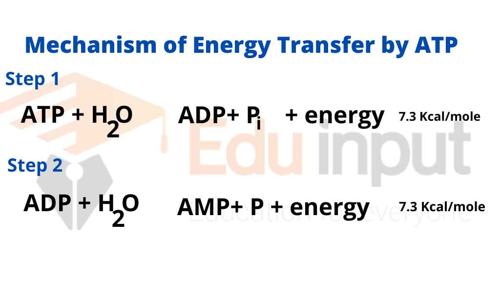 Image showing energy releasing from ARP molecule