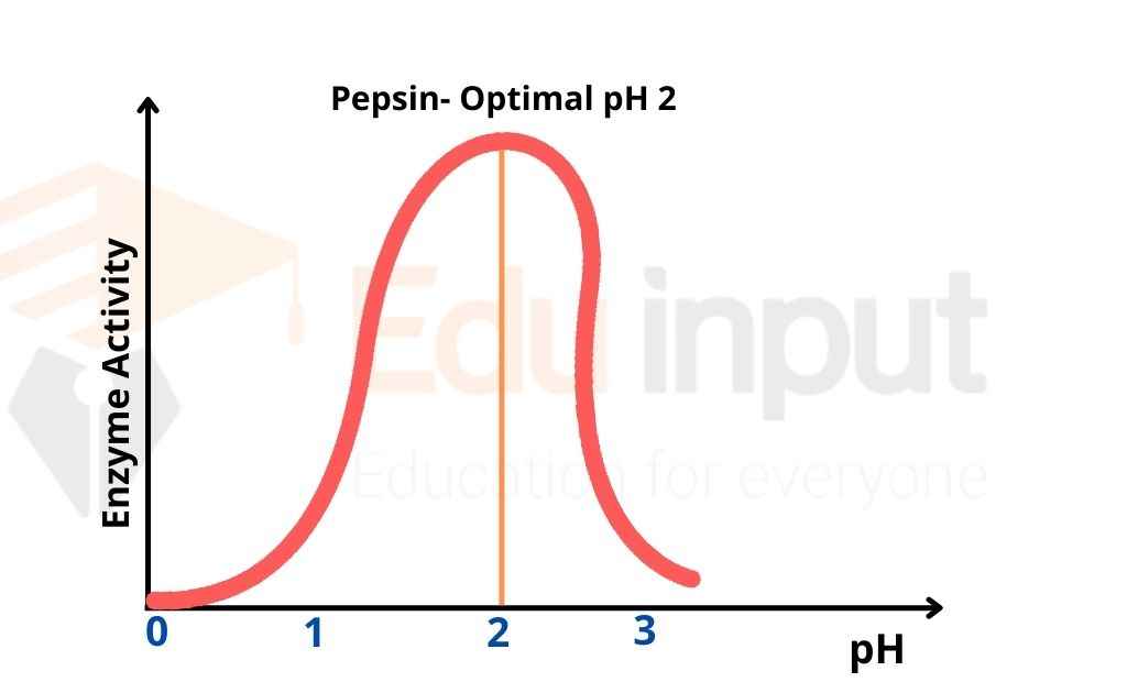 image showing the effect of pH effect on pepsin