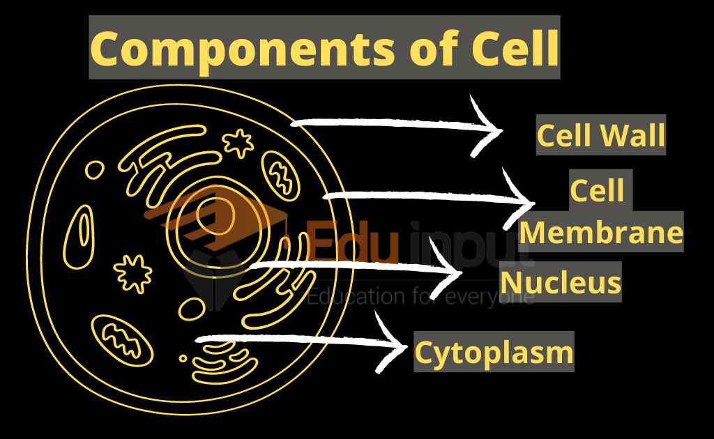 image showing cell components