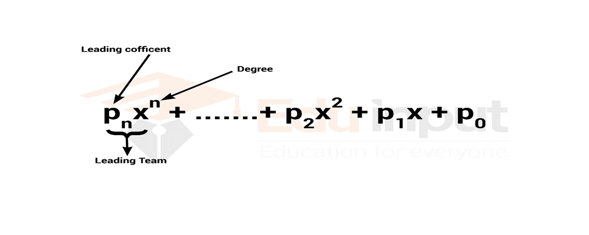 what-does-coefficient-mean-in-math