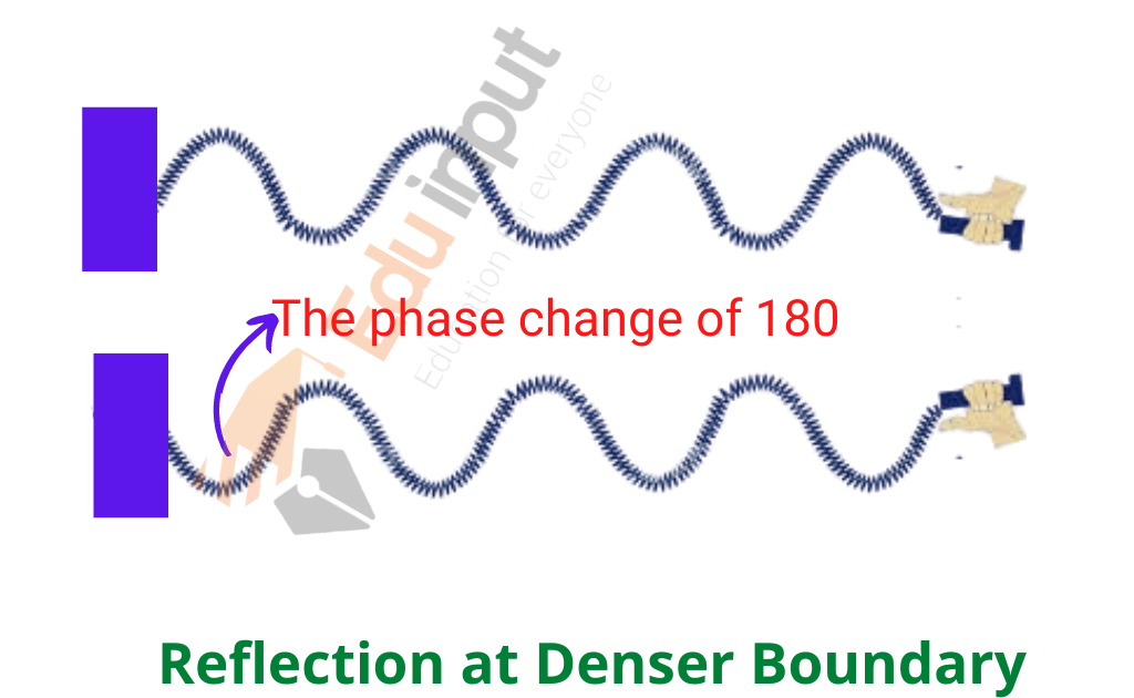 image showing the reflection of wave in denser medium