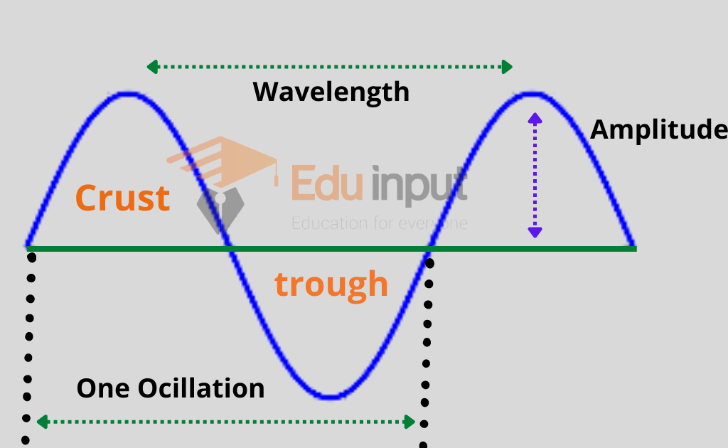 image showing What are Waves in Physics