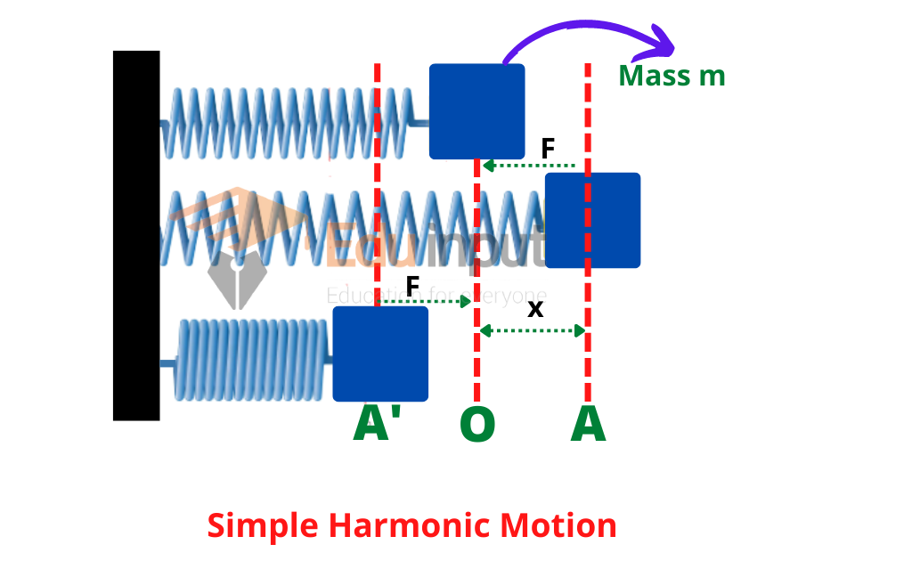image showing the simple harmonic motion