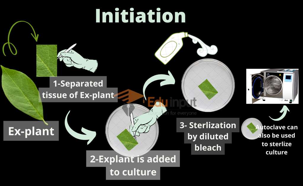 Image showing steps involved in initiation