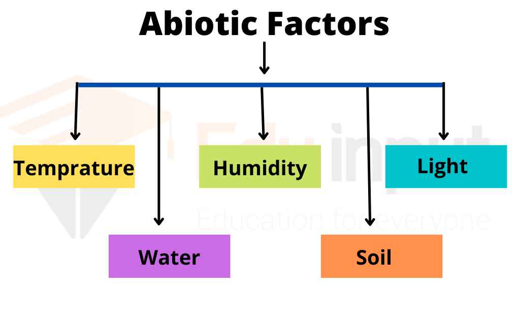 image showing abiotic components of the ecosystem
