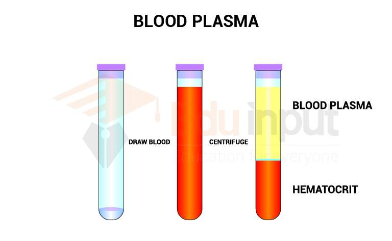 image showing blood plasma in whole blood