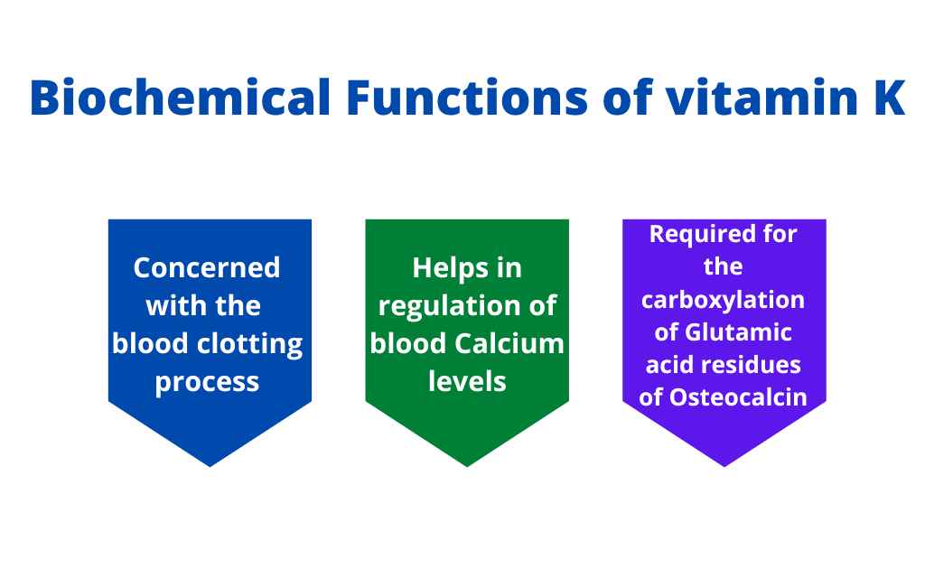 image showing Biochemical Functions of vitamin K
