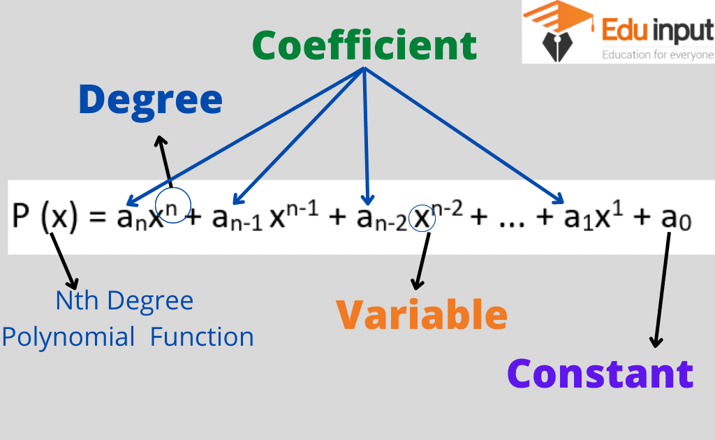 polynomial of degree 0 meaning