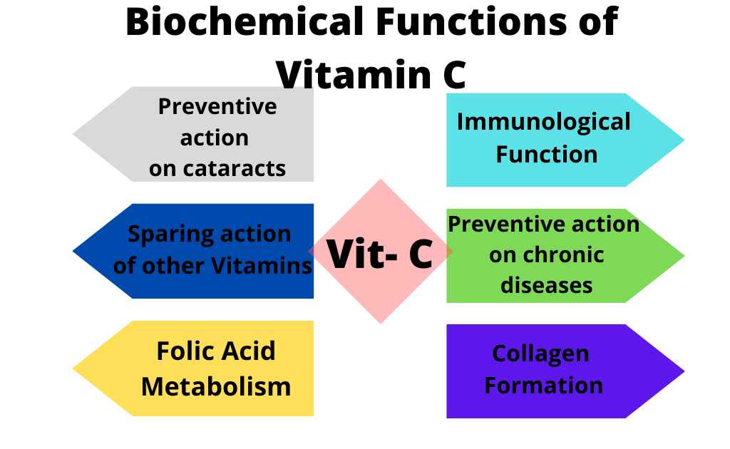 Image showing functions of Vitamin C