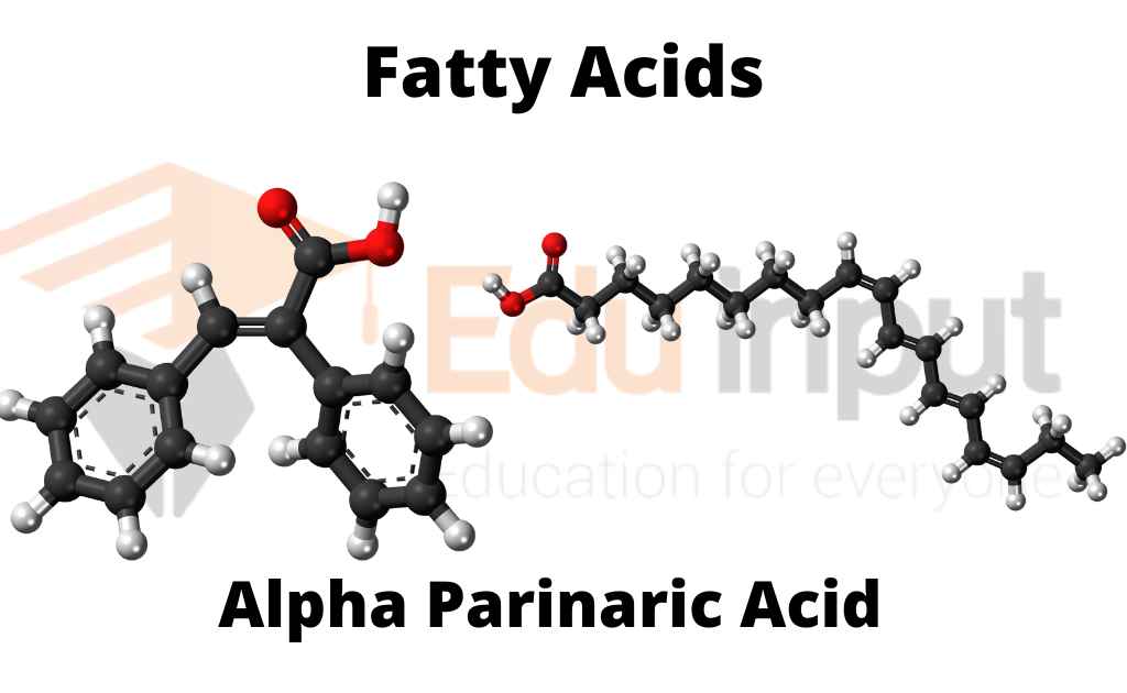 image showing the structure of  alpha paranoic acid  (an unsaturated fatty acid )