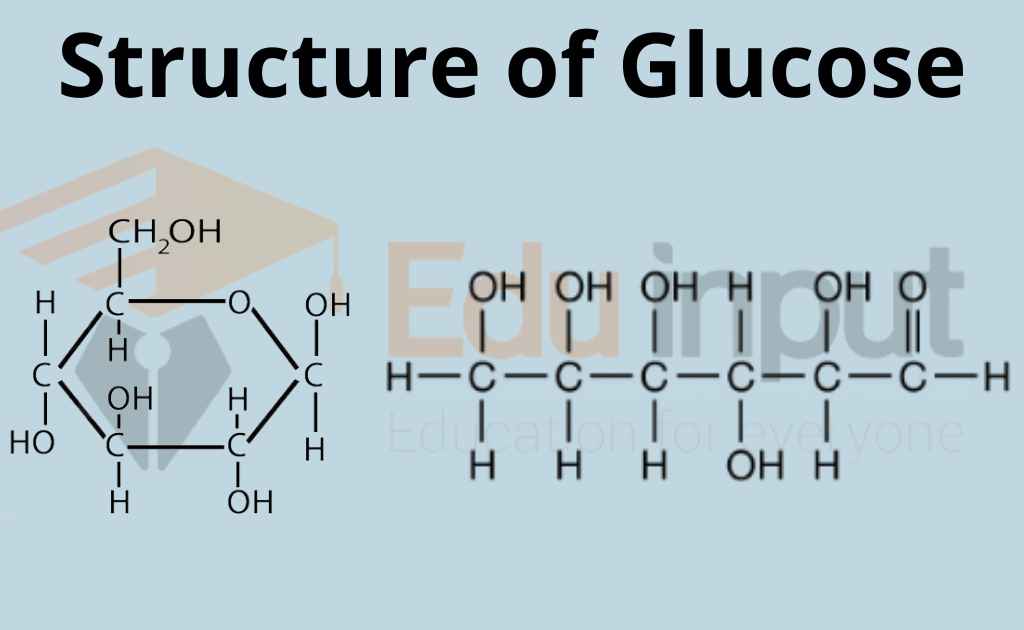 Image showing a cyclic and cyclic structure of glucose