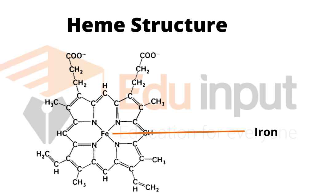 Image showing structure of Heme group in hemoglobin