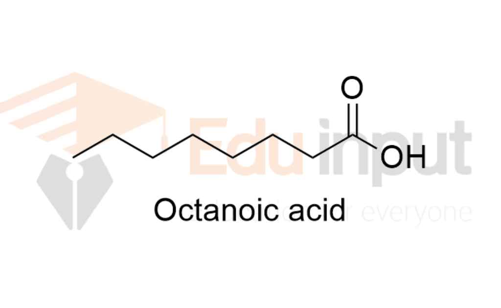image showing a fatty acid named octanoic acid