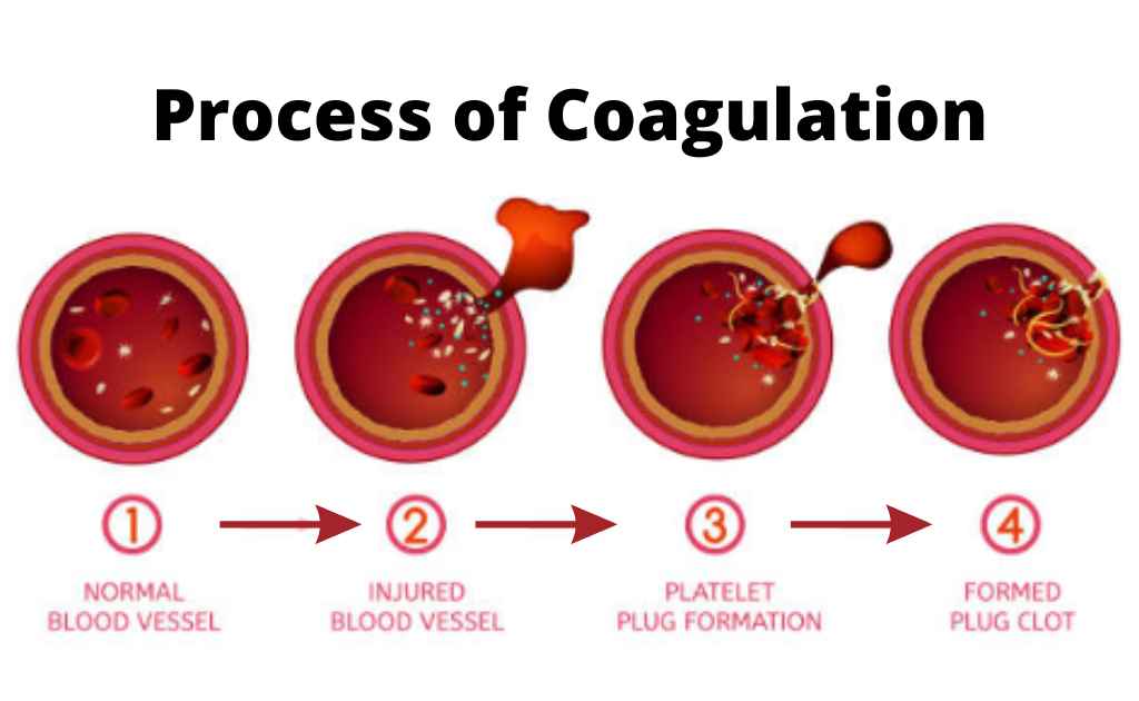image showing the process of blood coagulation/clotting