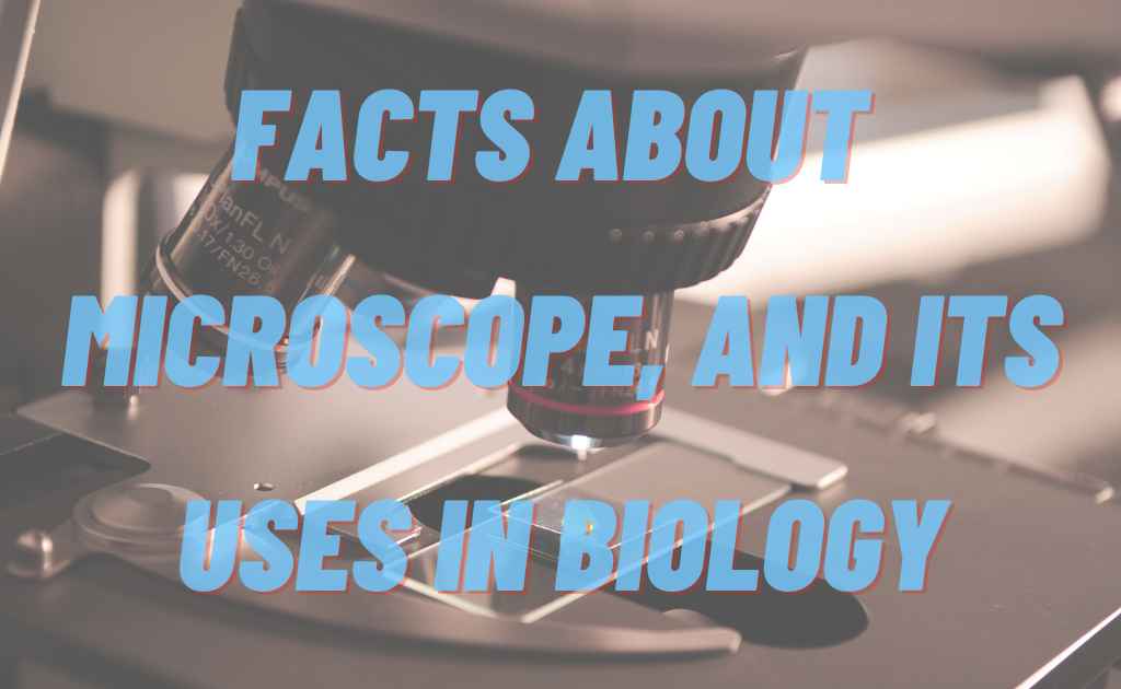 Microscope Interesting Facts and Uses in Biology