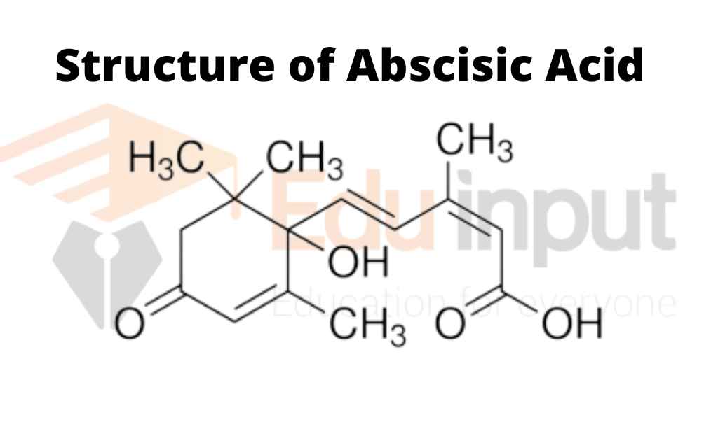image showing the structure of abscisic acid
