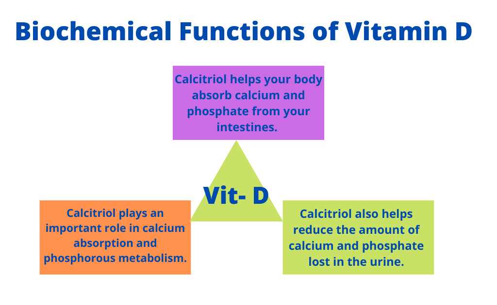 Image showing biochemical functions of Vitamin D