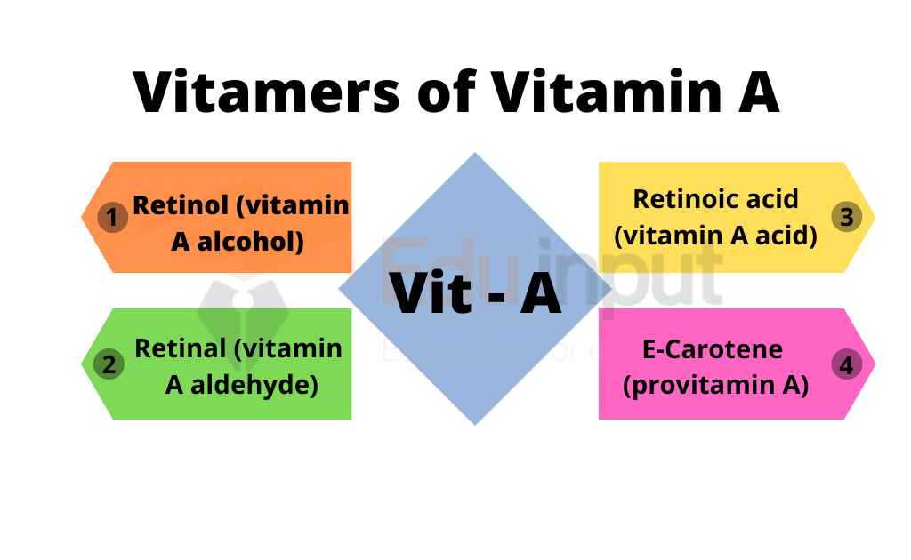 Image showing vitamers of vitamin A