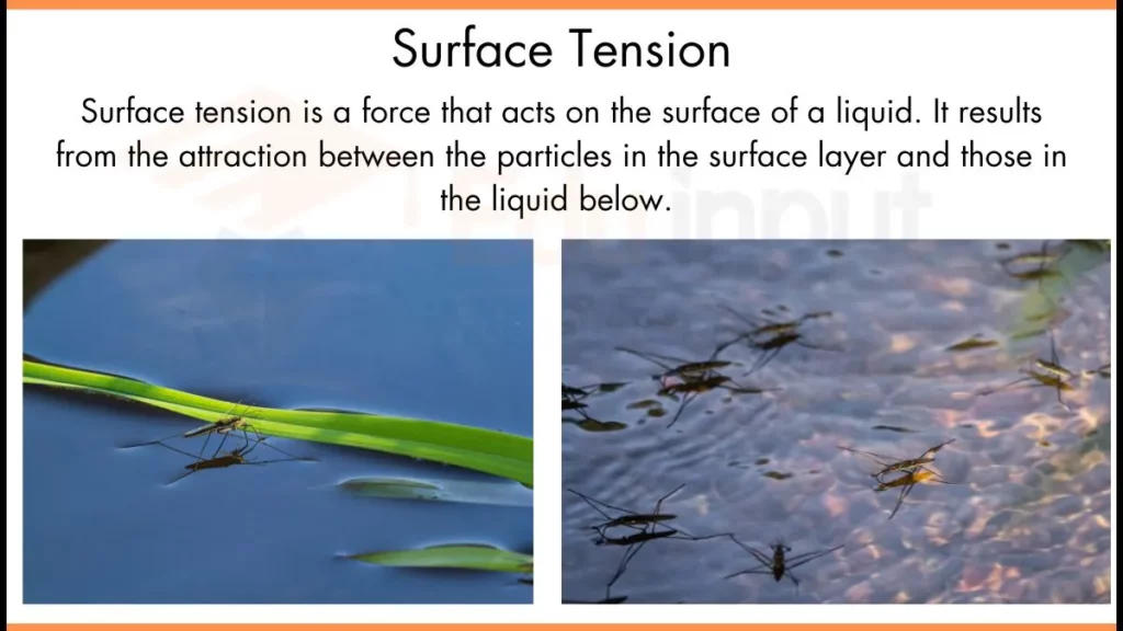 image showing Surface Tension Definition