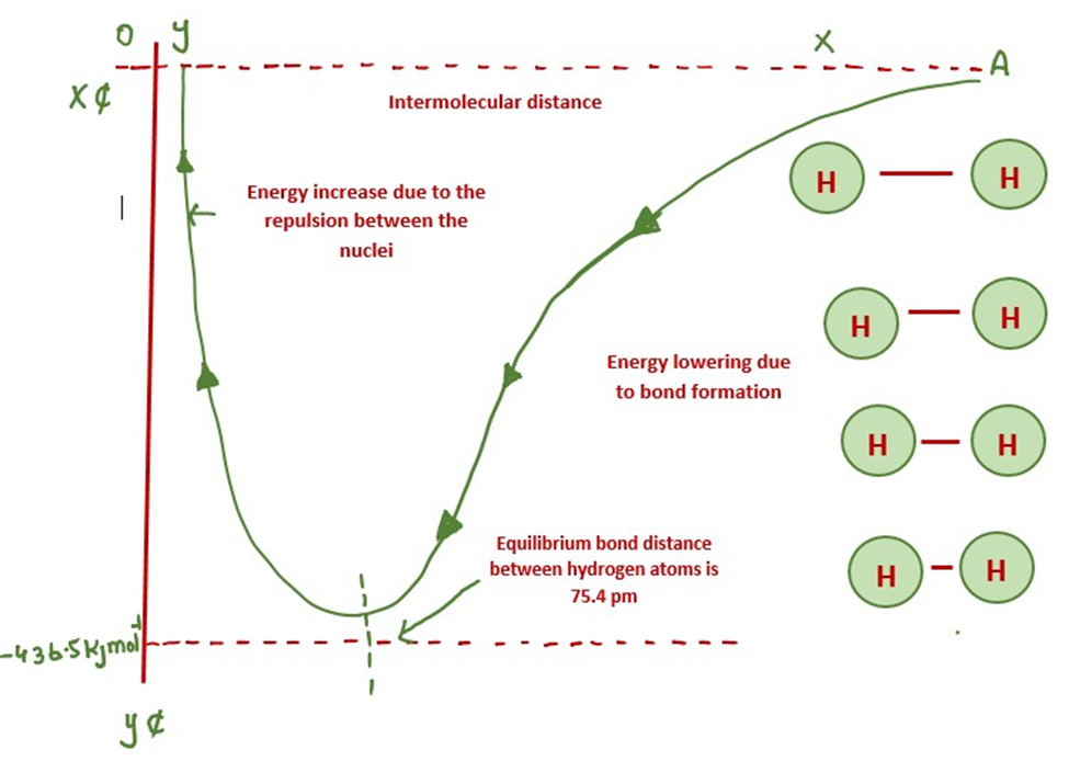 image showing Potential energy curve for the formation of H2 molecule.