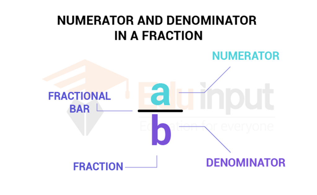 showing the feature image of numerator