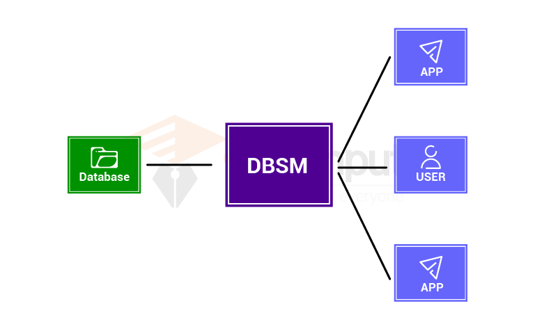 image showing the DBMS