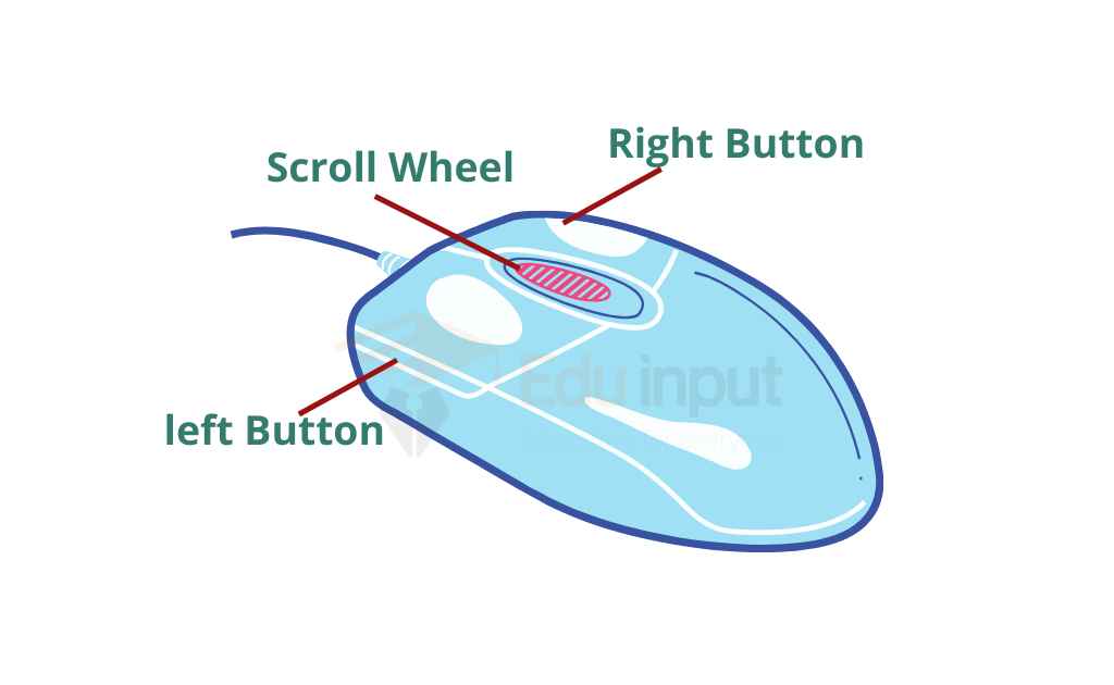 image showing the different parts of mouse