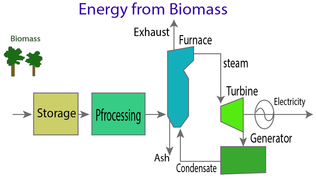 image showing the biomass energy by  Direct Combustion