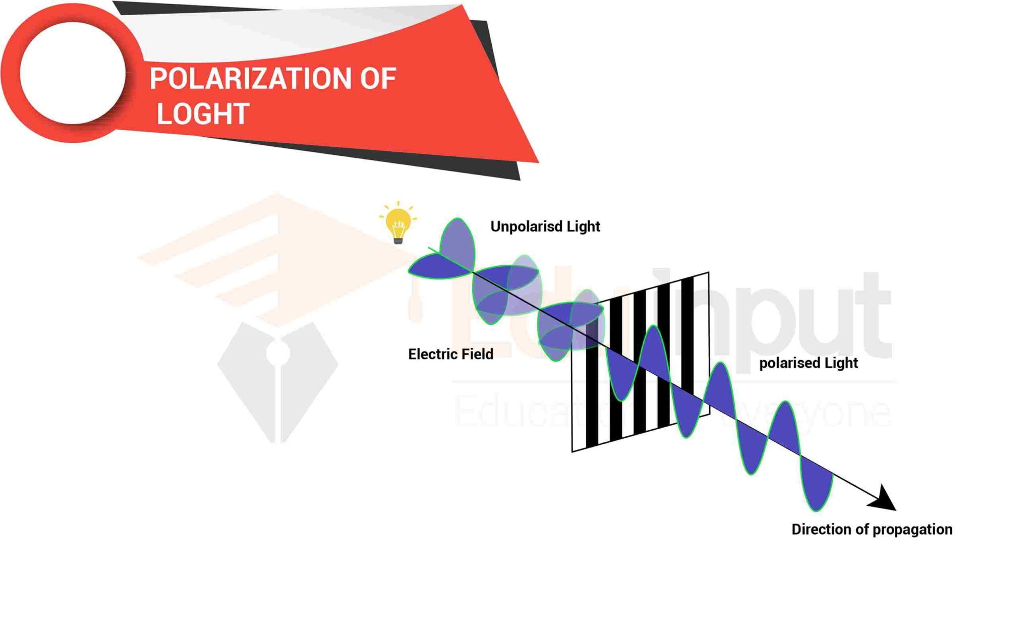 Polarization of Light Production & Detection of Plane Polarized Light