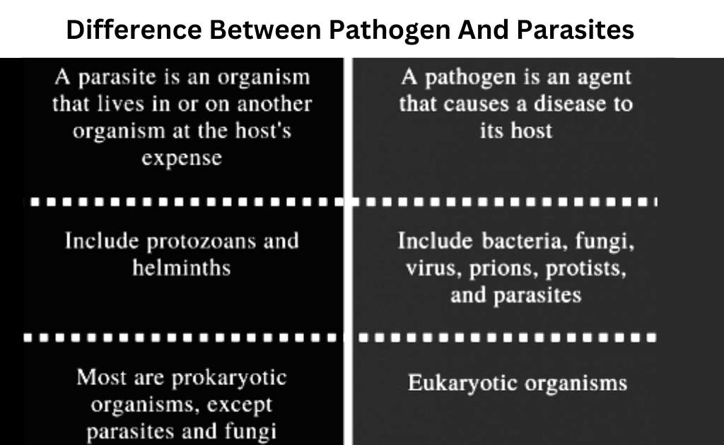 Image showing difference between pathogen and parasites