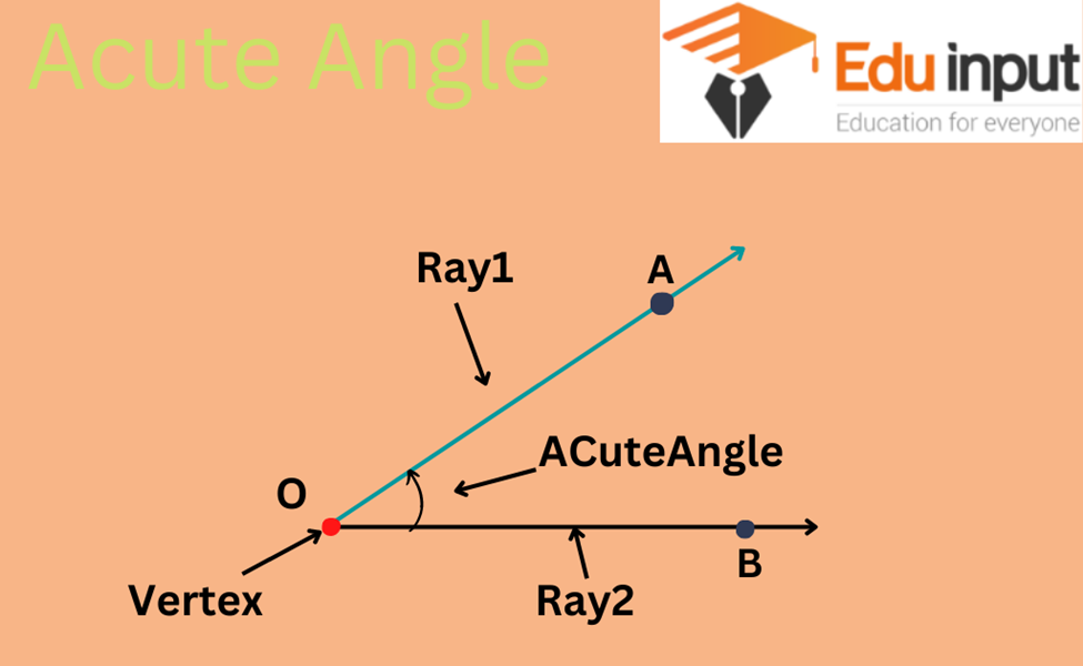 Acute Angle: Definition, Properties, Shapes & Solved Examples