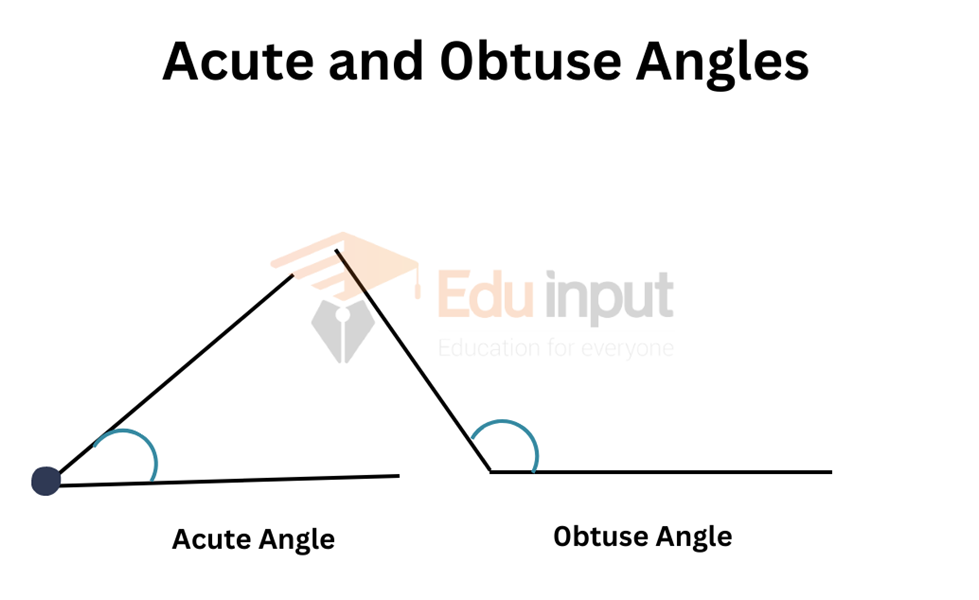 image showing the acute and obtuse angle