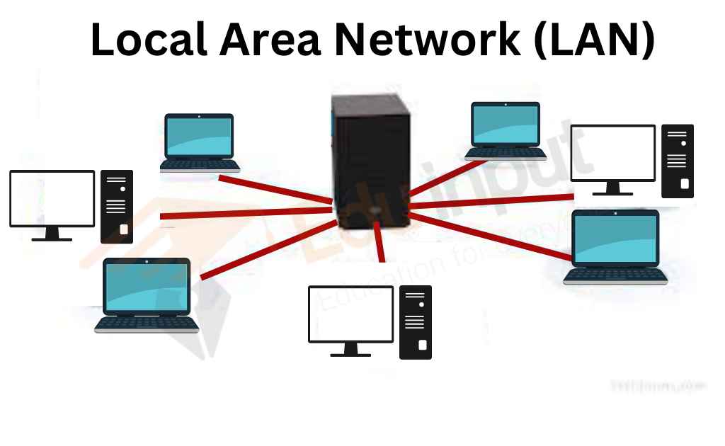 image showing the network LAN