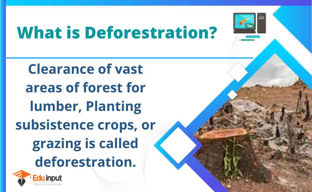 image showing deforestation