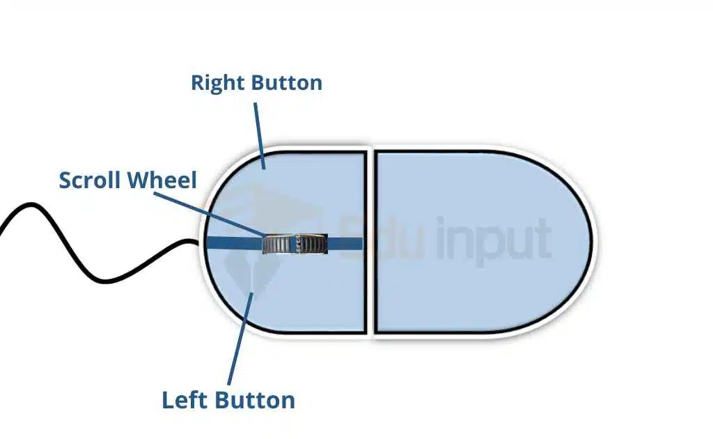 image showing the device mouse