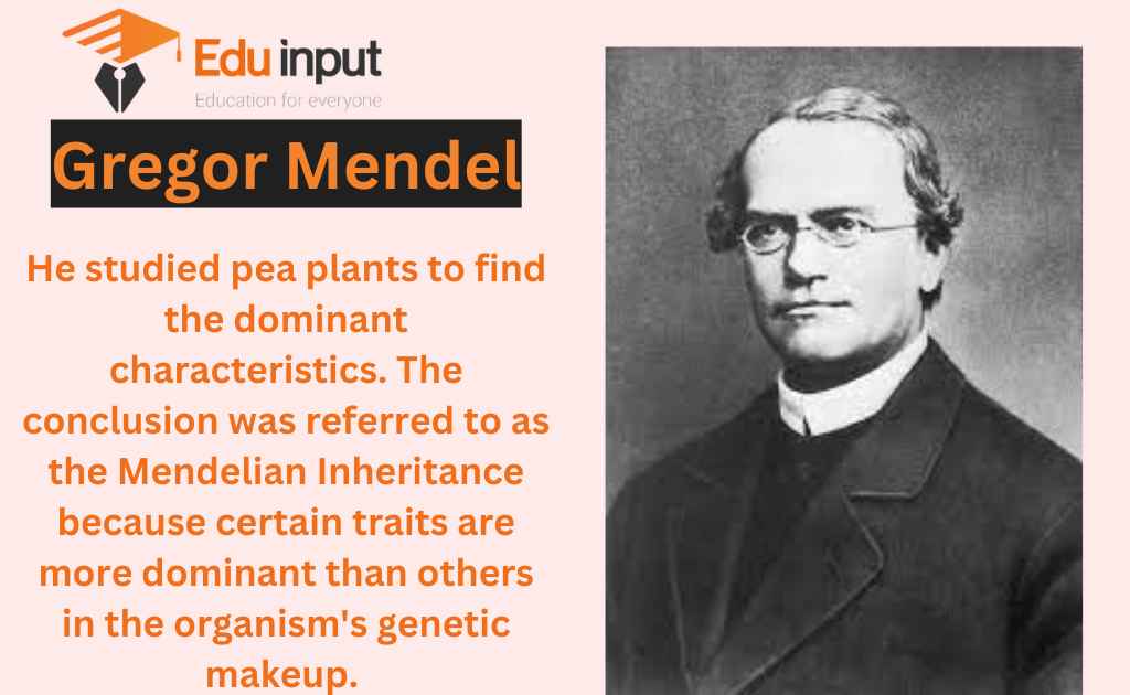 image representing Gregor Mendel