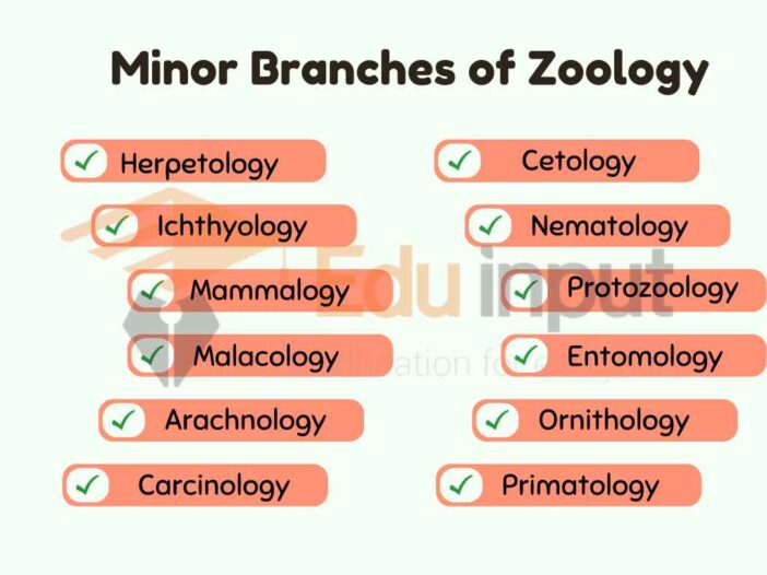 ZoologyHistory, Branches, Scope, Importance, and Applications