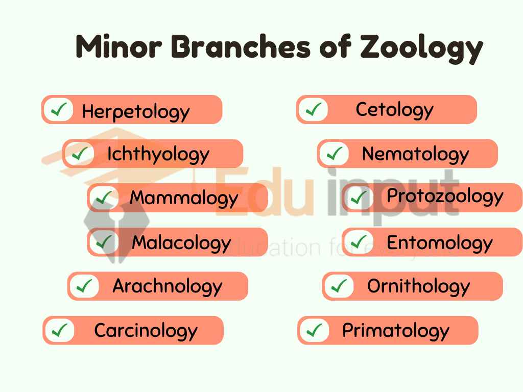 Minor Branches of Zoology 11zon