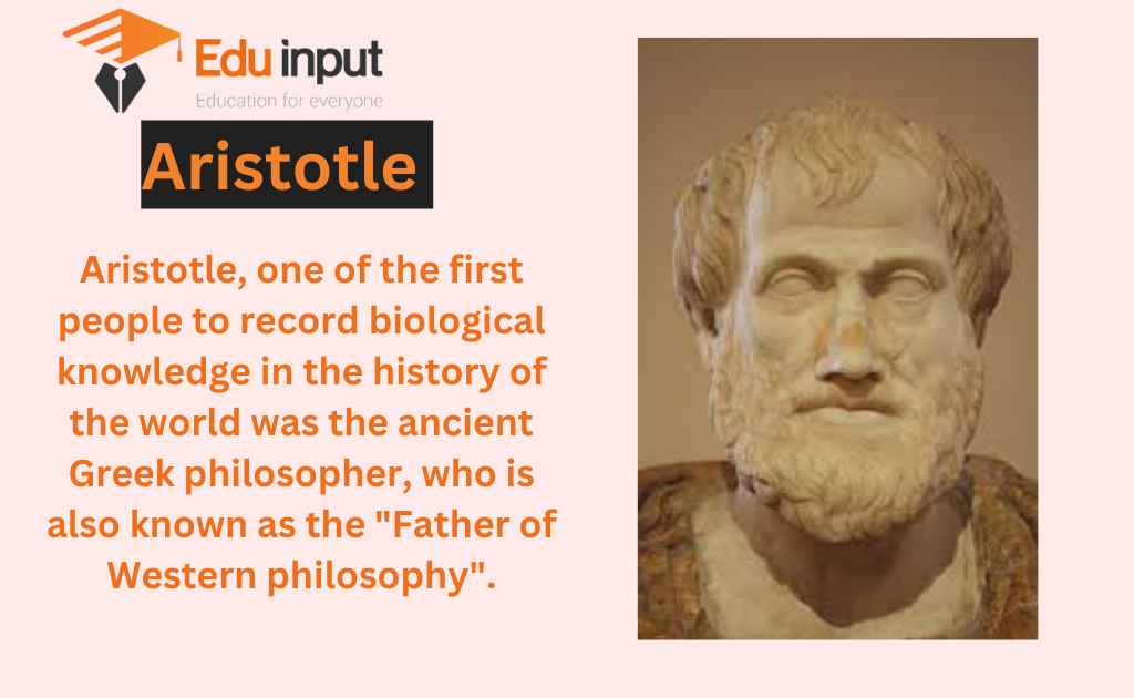 image-representing-Aristotle-